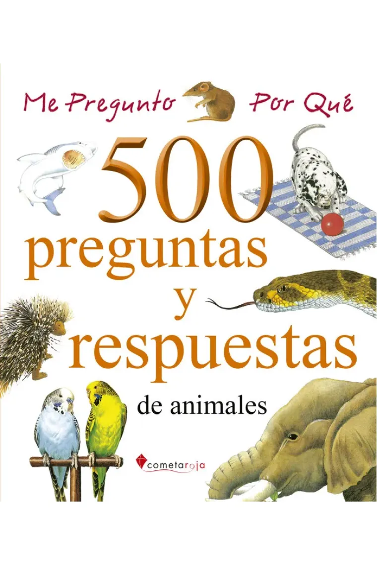 bookish-4765683