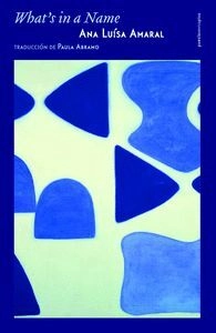 libreriasinopsis1021667