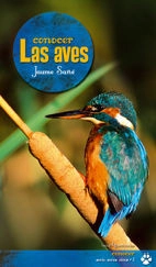 libreriasinopsis1029465