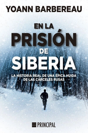 libreriasinopsis1119064