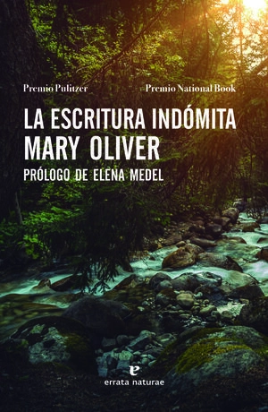 libreriasinopsis1141101