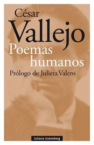 libreriasinopsis1168182