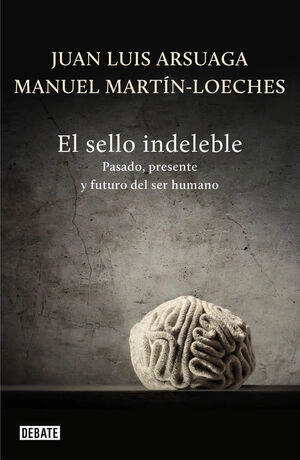 libreriasinopsis1222720
