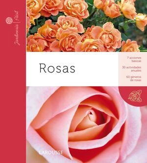 libreriasinopsis1261629