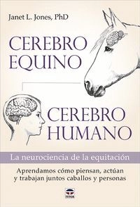 libreriasinopsis1272327