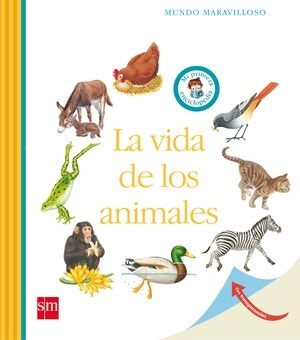 libreriasinopsis1333704