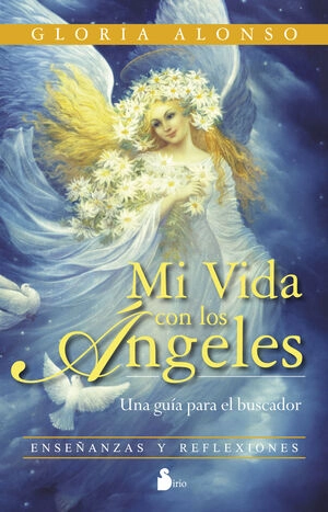 libreriasinopsis1373837