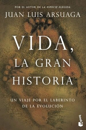 libreriasinopsis1480462
