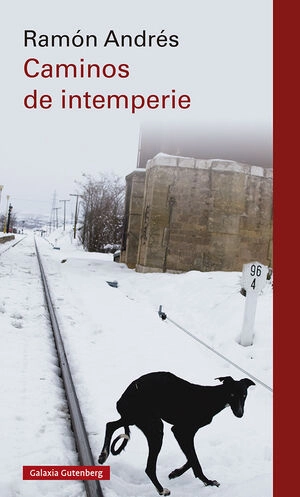 libreriasinopsis1491711