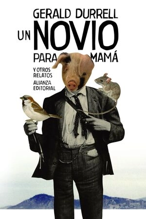 libreriasinopsis1531737