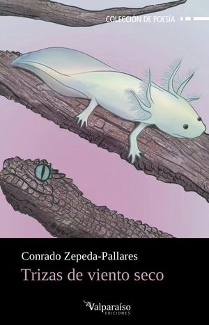libreriasinopsis1572731