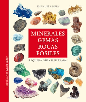 libreriasinopsis1880857