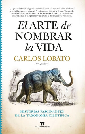libreriasinopsis2030515