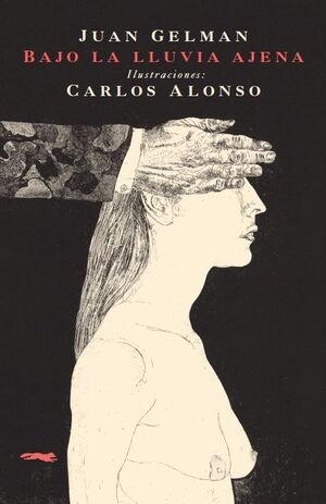libreriasinopsis344450