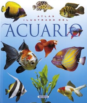 libreriasinopsis349029