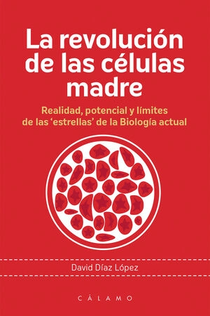 libreriasinopsis381510