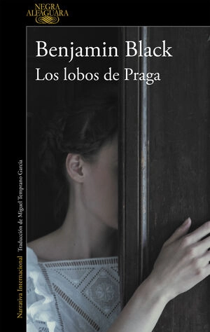 libreriasinopsis548821