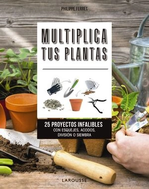 libreriasinopsis595227