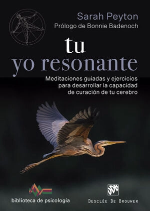 libreriasinopsis658029
