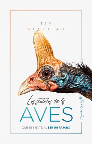 libreriasinopsis796066