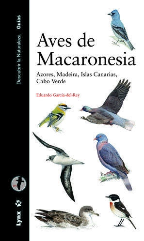 libreriasinopsis994916